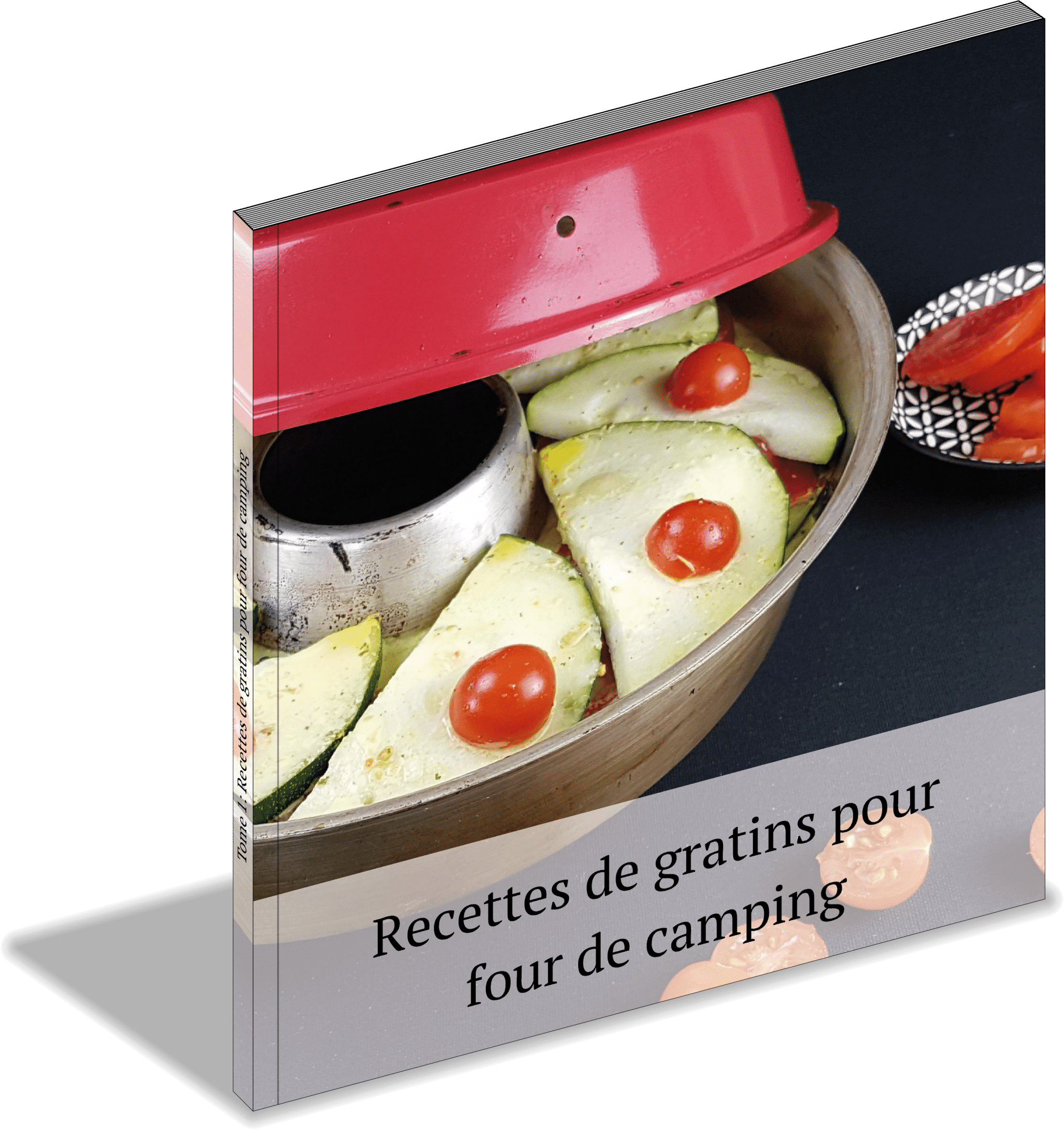 Livre de cuisine Omnia (FR) - Recettes de gratins en français - Bantam  Wankmüller SA